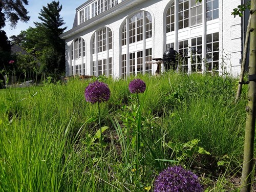 Natuurlijke tuin, ecologische tuinarchitectuur