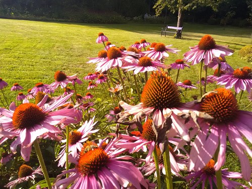 natuurlijke tuin