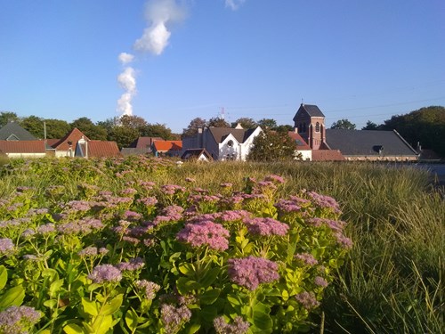 Daktuin