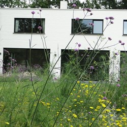 Natuurtuin