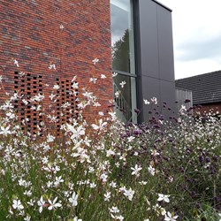 Natuurlijke tuin