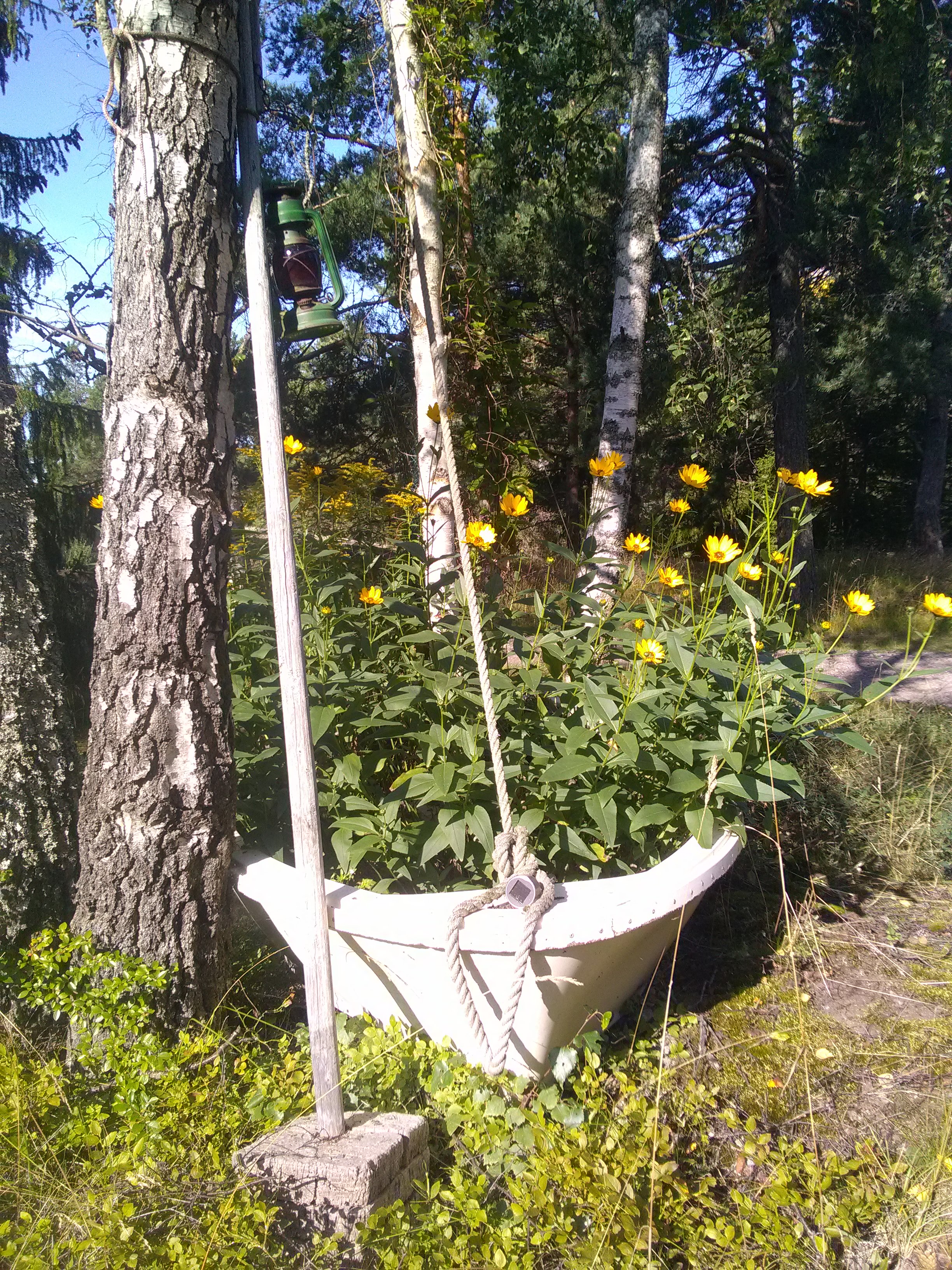 natuurlijke tuin