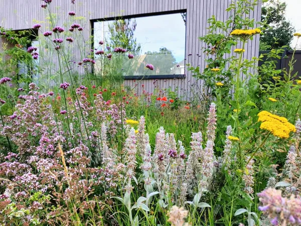 Klimaatverandering brengt een andere plantenkeuze met zich mee