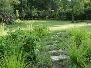 De tuinarchitect zorgt ook voor de aanleg van je natuurlijke tuin